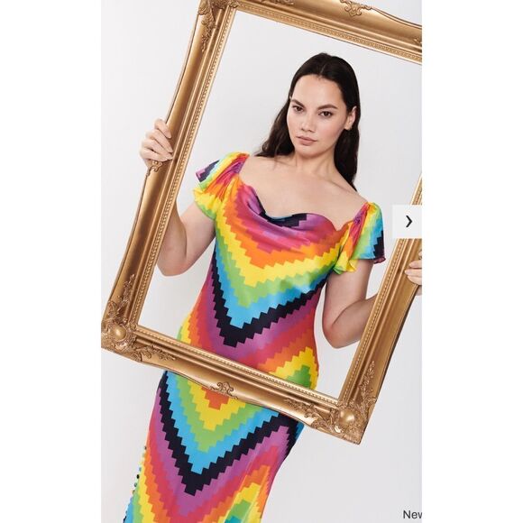 Olivia Rubin Amelia Silk Midi Dress in Rainbow Chevron size US2 - Picture 8 of 12